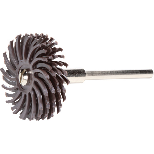 Scotch-Brite Radial Bristle Discs, Ceramic, 36X Grit, 1" Dia. Meunier Outillage Industriel