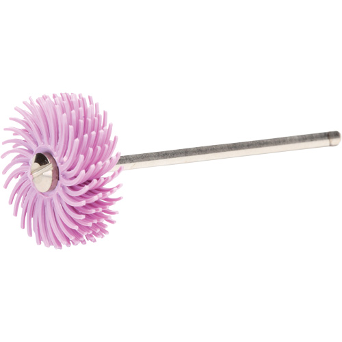 Scotch-Brite Radial Bristle Discs, Pumice Grit, 3/4" Dia. Meunier Outillage Industriel