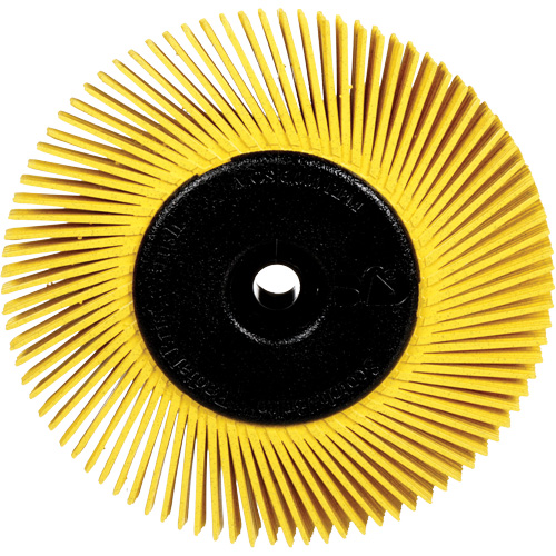 Brosses radiales bristle pour meuleuses d'&eacute;tabli, Grain 80X, 6" dia. Meunier Outillage Industriel