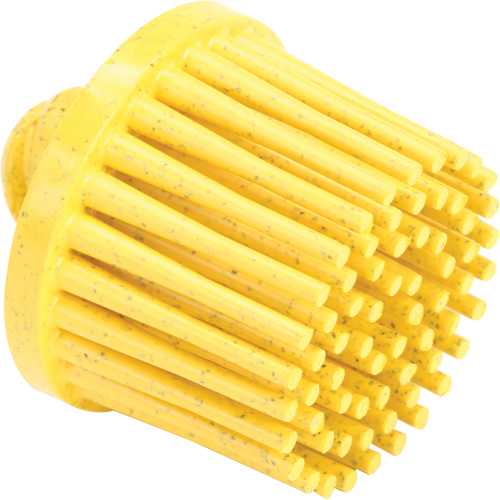 Roloc Bristle Discs, 80 Grit, 1" Dia. Meunier Outillage Industriel