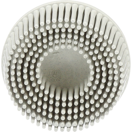 Scotch-Brite Roloc Bristle Discs, 120 Grit, 2" Dia. Meunier Outillage Industriel