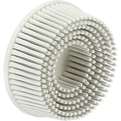 Scotch-Brite Roloc Bristle Discs, 120 Grit, 2" Dia. Meunier Outillage Industriel