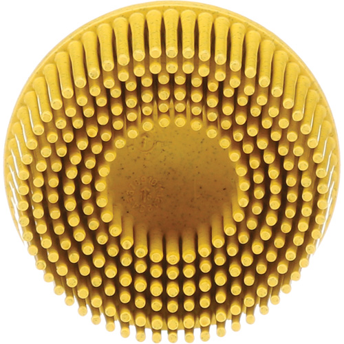 Scotch-Brite Roloc Bristle Discs, 80 Grit, 2" Dia. Meunier Outillage Industriel