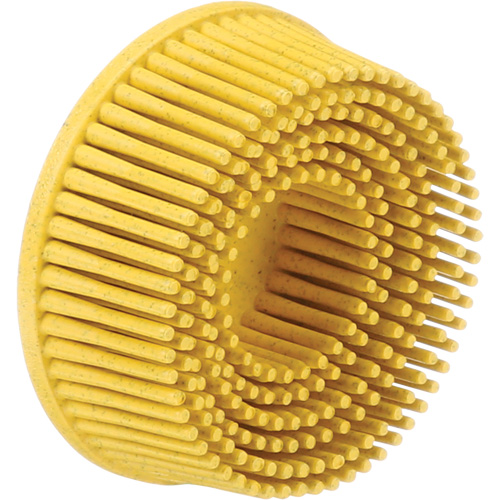 Scotch-Brite Roloc Bristle Discs, 80 Grit, 2" Dia. Meunier Outillage Industriel