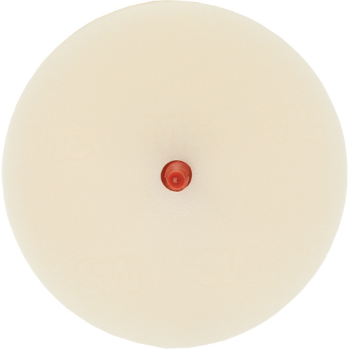 Scotch-Brite Moulding Adhesive & Stripe Removal Disc, 7501, 4" Dia. Meunier Outillage Industriel