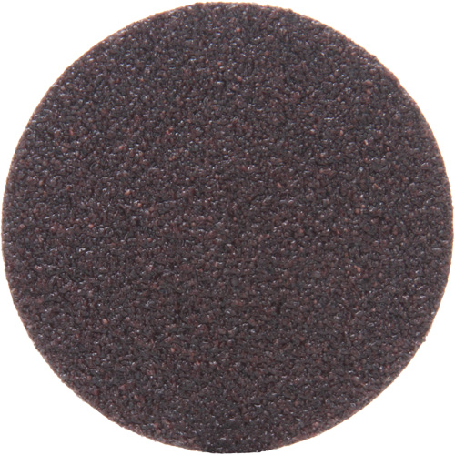 361F Discs - Roloc TSM, 2" Dia., 36 Grit, Aluminum Oxide Meunier Outillage Industriel
