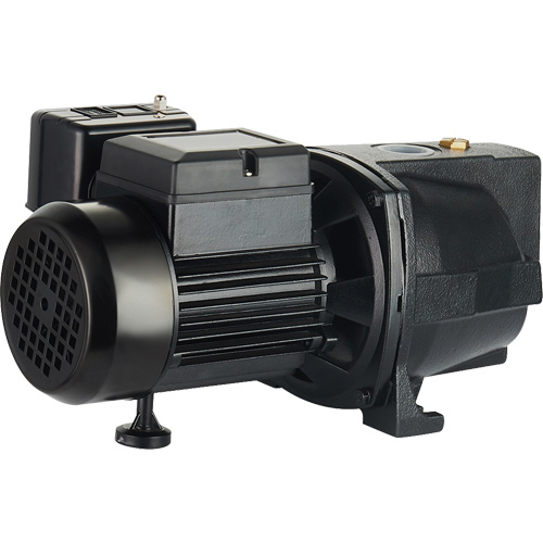 Dual Voltage Cast Iron Shallow Well Jet Pump, 115 V/230 V, 1100 GPH, 1 HP Meunier Outillage Industriel