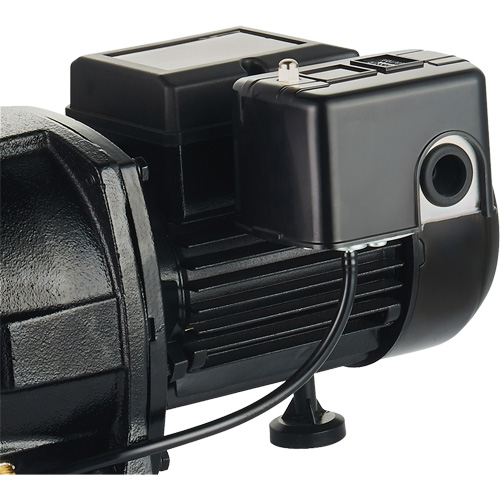 Dual Voltage Cast Iron Shallow Well Jet Pump, 115 V/230 V, 1100 GPH, 1 HP Meunier Outillage Industriel