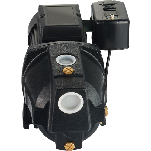Dual Voltage Cast Iron Shallow Well Jet Pump, 115 V/230 V, 1100 GPH, 1 HP Meunier Outillage Industriel
