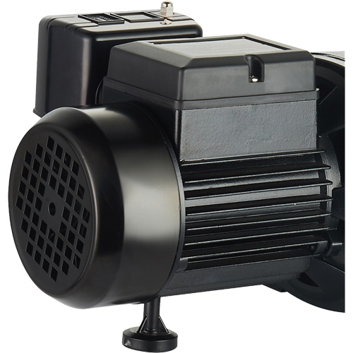 Dual Voltage Cast Iron Shallow Well Jet Pump, 115 V/230 V, 1100 GPH, 1 HP Meunier Outillage Industriel