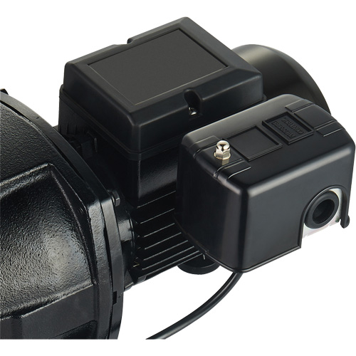 Dual Voltage Cast Iron Shallow Well Jet Pump, 115 V/230 V, 1100 GPH, 1 HP Meunier Outillage Industriel