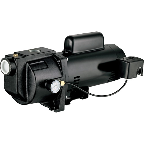 Dual Voltage Cast Iron Shallow Well Jet Pump, 115 V/230 V, 1260 GPH, 1 HP Meunier Outillage Industriel