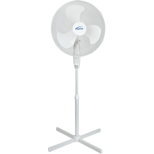 Oscillating Pedestal Fan, Commercial, 3 Speed, 18" Diameter Meunier Outillage Industriel