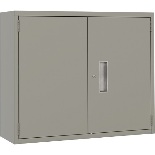 Wall Mounted Cabinet, Steel, 2 Shelves, 30" H x 36" W x 12" D, Grey Meunier Outillage Industriel