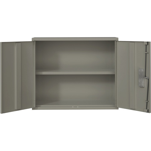 Wall Mounted Cabinet, Steel, 2 Shelves, 30" H x 36" W x 12" D, Grey Meunier Outillage Industriel