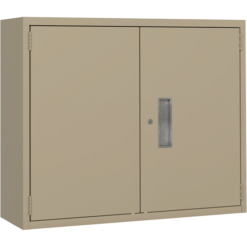 Wall Mounted Cabinet, Steel, 2 Shelves, 30" H x 36" W x 12" D, Beige Meunier Outillage Industriel