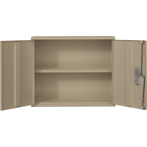 Wall Mounted Cabinet, Steel, 2 Shelves, 30" H x 36" W x 12" D, Beige Meunier Outillage Industriel