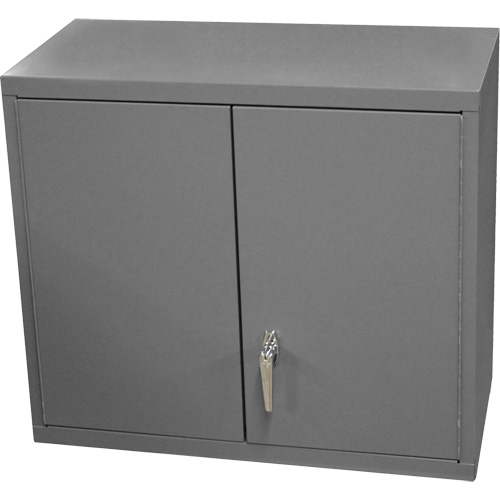 Armoire murale, 27" h x 13-11/16" la x 35-7/8" p, 2 tablettes, Acier, Gris Meunier Outillage Industriel