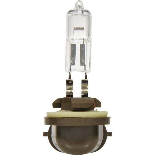886 Basic Fog Light Bulb, Halogen, 50 W, Off White Meunier Outillage Industriel