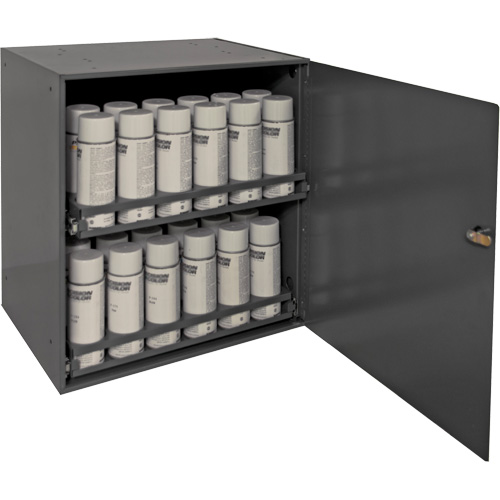 Armoire de rangement pour contenants a&eacute;rosol, Acier, 21-7/8" h x 15-15/16" la x 20-5/16" P, Gris Meunier Outillage Industriel