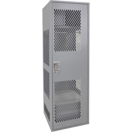Gear Locker with Door, Steel, 24" W x 24" D x 72" H, Grey Meunier Outillage Industriel