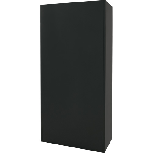 Armoire de rangement Hi-Boy, Acier, 4 Tablettes, 72" h x 36" la x 18" P, Noir Meunier Outillage Industriel