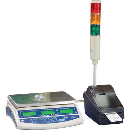 Balance pour compter Abacus AB30, Capacit&eacute; 60 lb / 30 kg, Graduations 0,001 lb / 0,5 g Meunier Outillage Industriel