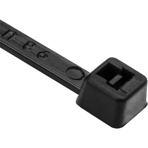 Attaches de c&acirc;ble PA66, Longueur 8", R&eacute;sistance &agrave; la traction 50 lb, Noir Meunier Outillage Industriel