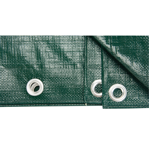 B&acirc;che, Robuste, Vert, 8' x 6' x 9 mils Meunier Outillage Industriel