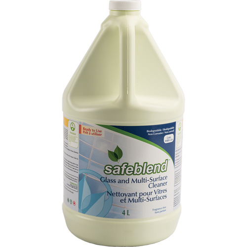 Glass & Multi-Surface Cleaner, 4 L, Jug Meunier Outillage Industriel
