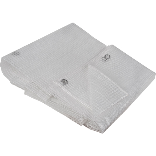 B&acirc;ches transparentes, 10' x 8' x 8 mils Meunier Outillage Industriel