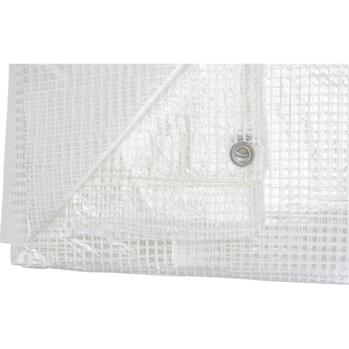 B&acirc;ches transparentes, 30' x 20' x 8 mils Meunier Outillage Industriel