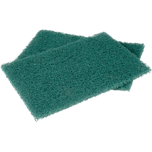 Tampons manuels Scotch-Brite, &agrave; r&eacute;curer, 6" la x 9" l Meunier Outillage Industriel