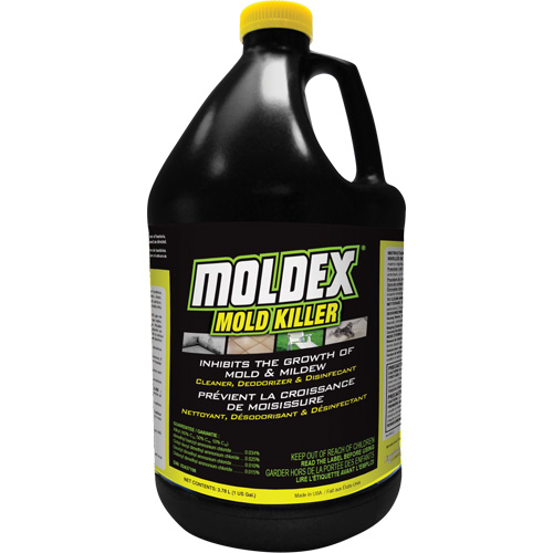 D&eacute;sinfectant contre les moisissures Moldex, 3,78 L, Cruche Meunier Outillage Industriel