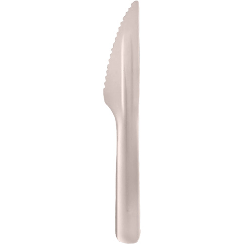 Bagasse Compostable Knives Meunier Outillage Industriel