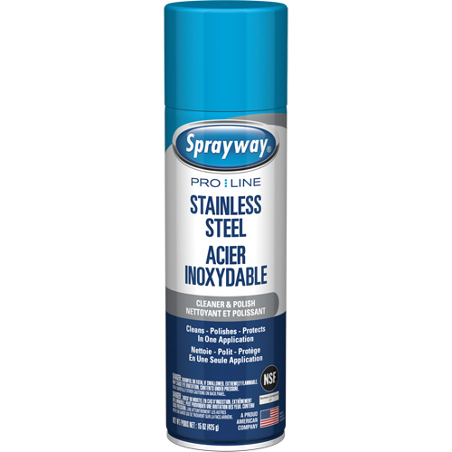 Nettoyant & polis pour acier inoxydable Pro Line, 15 oz, Canette a&eacute;rosol Meunier Outillage Industriel