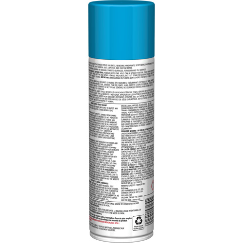 Nettoyant tout usage Pro Line Crazy Clean, 19 oz., Canette a&eacute;rosol Meunier Outillage Industriel