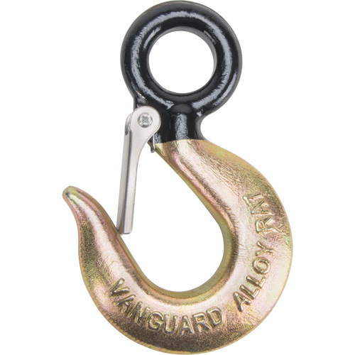 Black Eye&reg; Wire Rope Hoist Hook Meunier Outillage Industriel