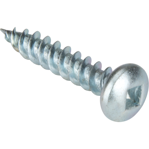 Vis taraudeuse &agrave; t&ecirc;te cylindrique, #10 x 1-1/4" lo, Zingu&eacute; Meunier Outillage Industriel