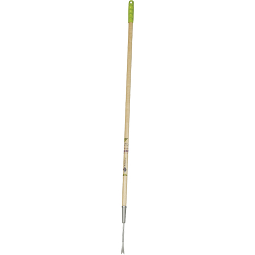 Arrache pissenlits Meunier Outillage Industriel