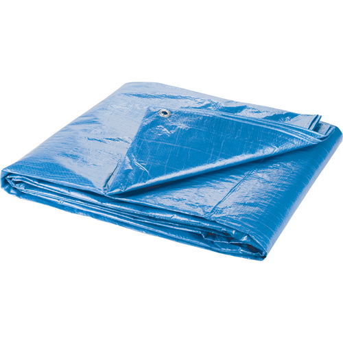 B&acirc;che, Standard, Bleu, 7' x 5' x 4 mils Meunier Outillage Industriel