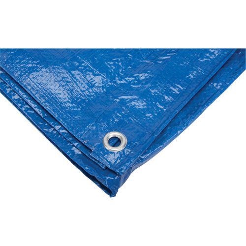 B&acirc;che, Standard, Bleu, 7' x 5' x 4 mils Meunier Outillage Industriel