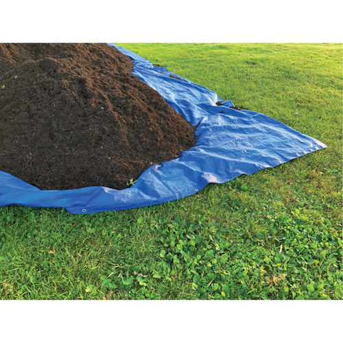 B&acirc;che, Standard, Bleu, 7' x 5' x 4 mils Meunier Outillage Industriel