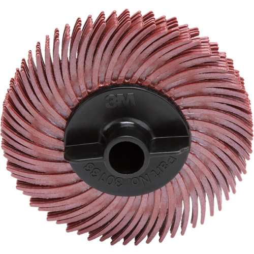 Scotch-Brite Radial Bristle Disc, RB-ZB, Ceramic, 220 Grit, 2" Dia. Meunier Outillage Industriel