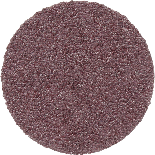 Meule en toile PSA 348D, 20" dia., Grain 60, Oxyde d'aluminium Meunier Outillage Industriel