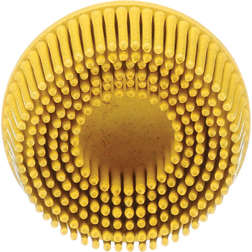 Scotch-Brite Roloc Bristle Disc, Ceramic, Medium Grit, 2" Dia. Meunier Outillage Industriel