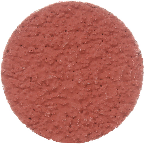 Cubitron II Roloc Durable Edge Disc, 2" Dia., 36+ Grit, Ceramic Meunier Outillage Industriel