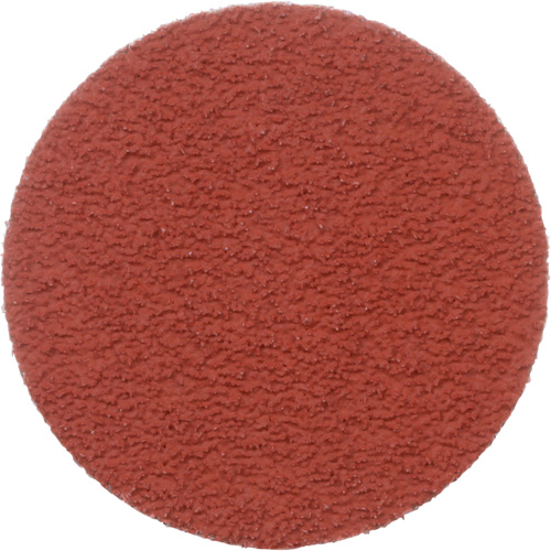 Cubitron II Roloc Durable Edge Disc, 2" Dia., 60+ Grit, Ceramic Meunier Outillage Industriel