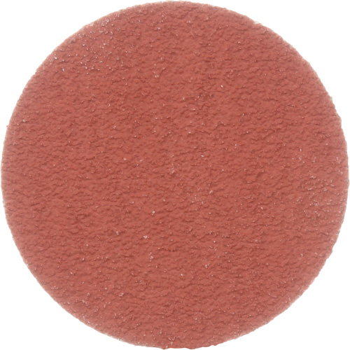 Cubitron II Roloc Durable Edge Disc, 2" Dia., 80+ Grit, Ceramic Meunier Outillage Industriel