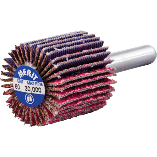 Mini-meule &agrave; lamelles mont&eacute;e sur tige, C&eacute;ramique d'alumine, Grain 60, 1" x 1" x 1/4" Meunier Outillage Industriel